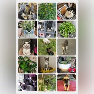 Meet your posher-Firststopcloset